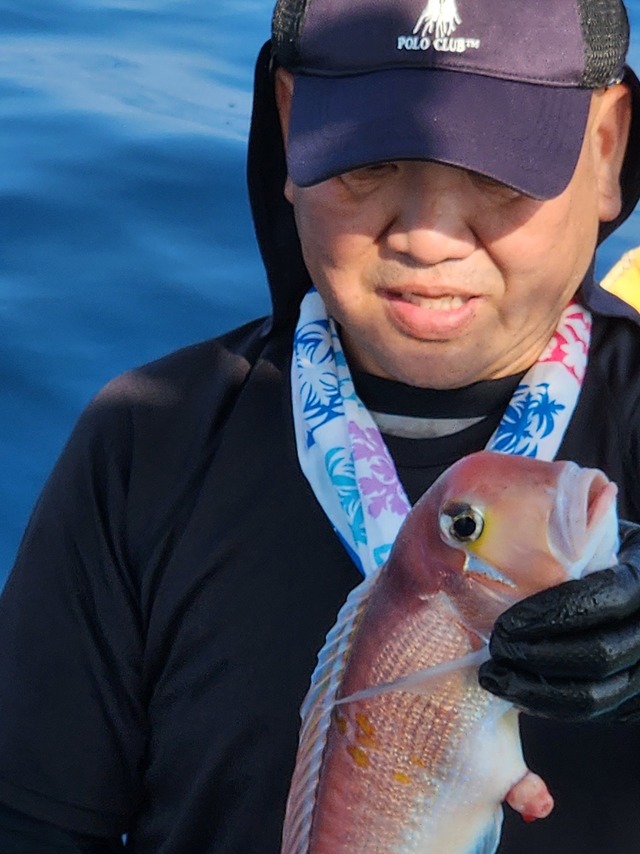 アマダイ(アカアマダイ)