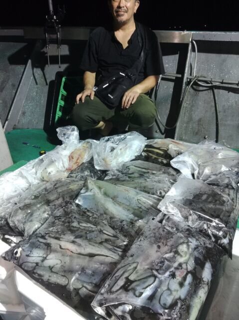 イカ(ヤリイカ)