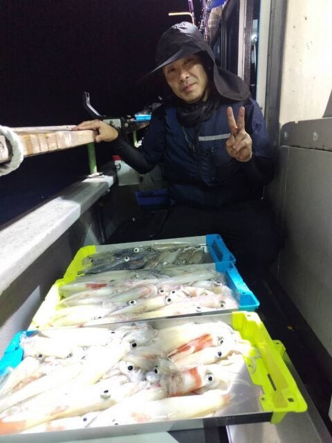 イカ(ヤリイカ)