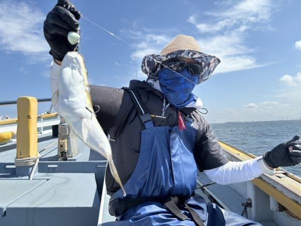 ショウサイフグ