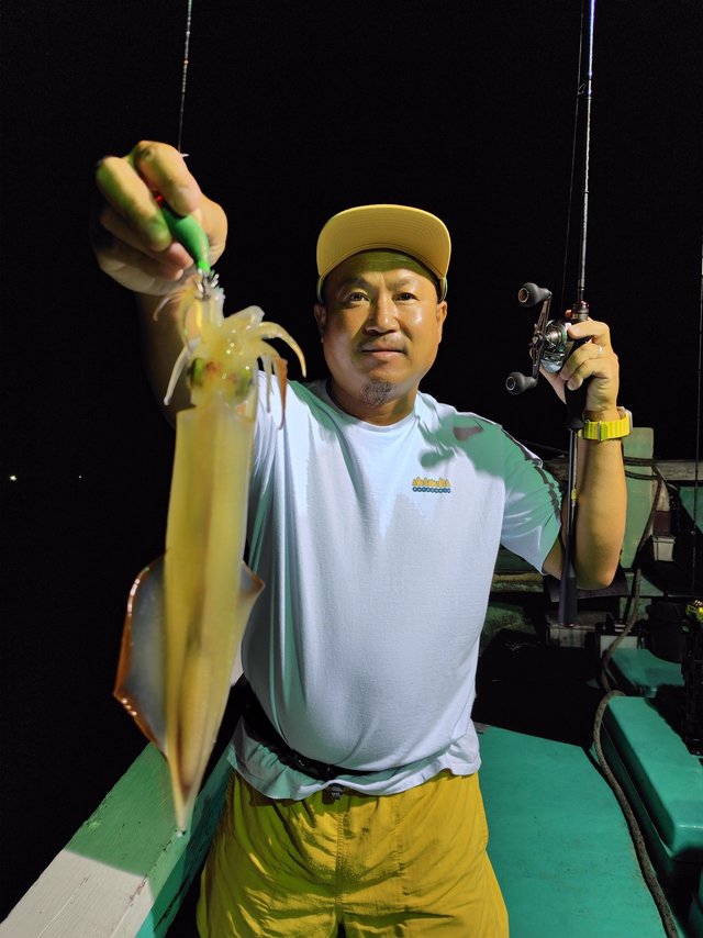 シロイカ(ケンサキイカ)