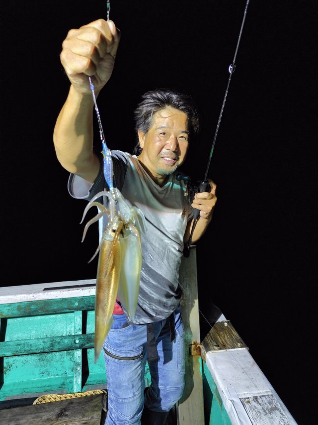 シロイカ(ケンサキイカ)