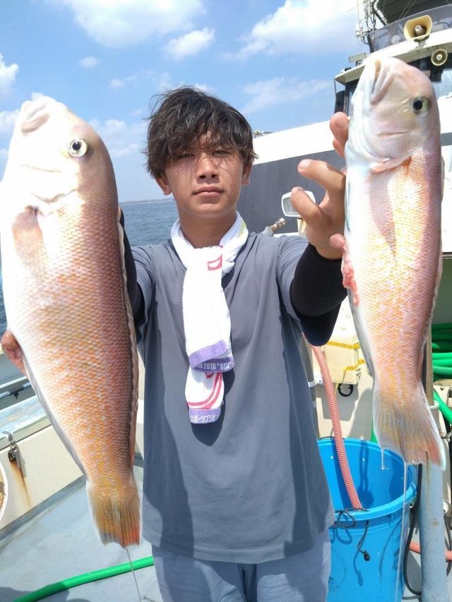 アマダイ(アカアマダイ)