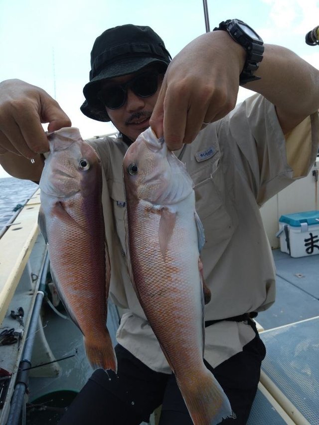 アマダイ(アカアマダイ)