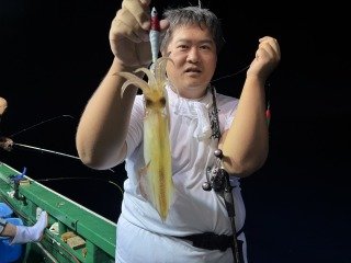 アカイカ(ケンサキイカ)