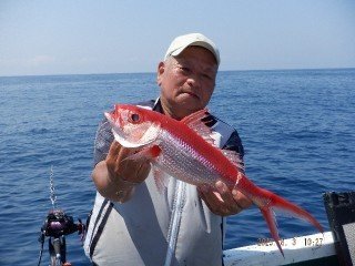 オナガダイ(ハマダイ)