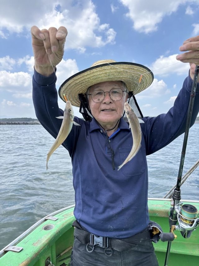 キス(シロギス)