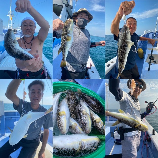 ショウサイフグ