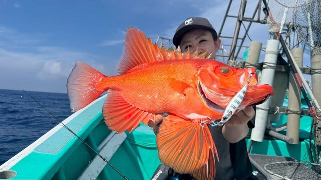 キントキ(チカメキントキ)