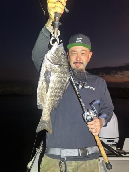 チヌ(クロダイ)