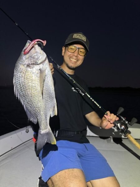 チヌ(クロダイ)