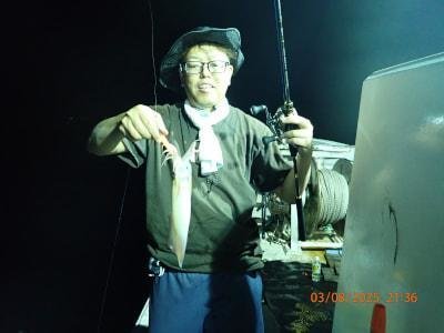 シロイカ(ケンサキイカ)