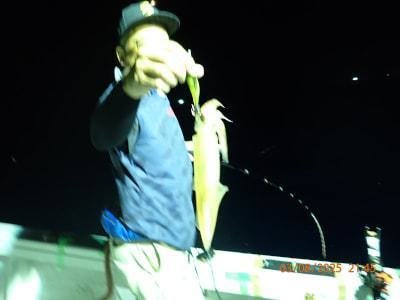 シロイカ(ケンサキイカ)