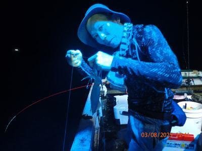 シロイカ(ケンサキイカ)