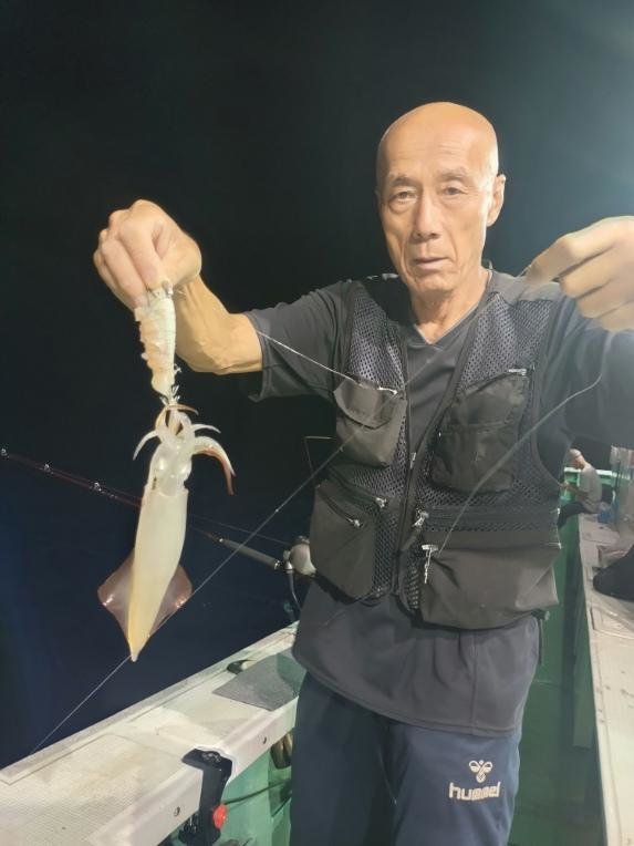 マイカ(ケンサキイカ)