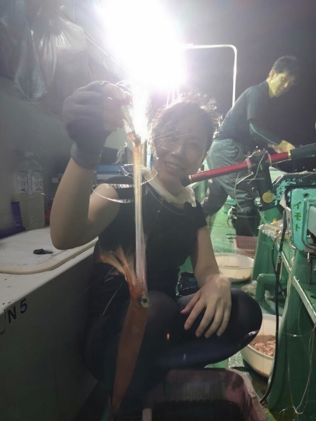 マイカ(ケンサキイカ)