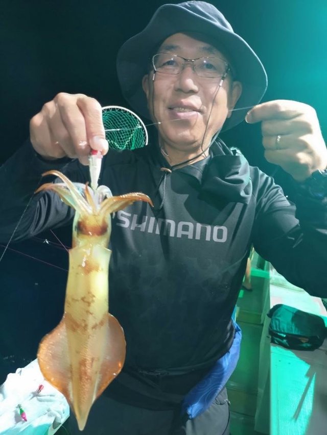 マイカ(ケンサキイカ)