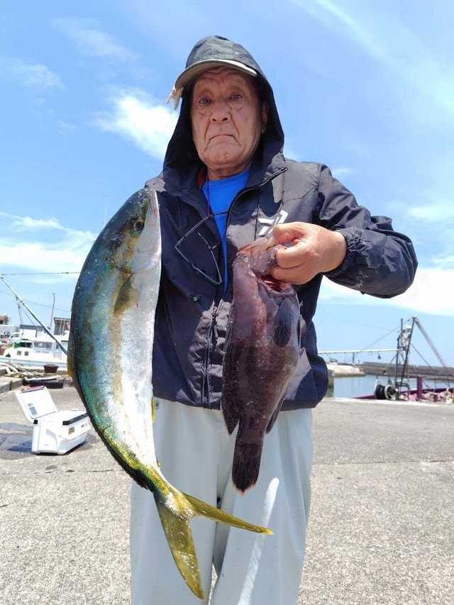 ヒラマサ・ハタ(マハタ)