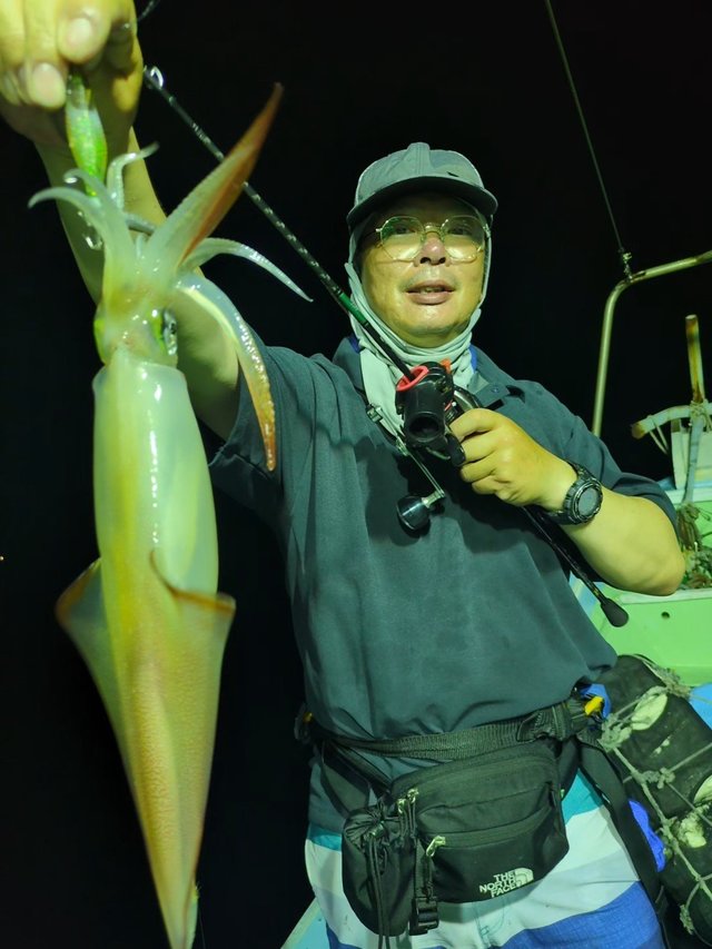 イカ(ヤリイカ)