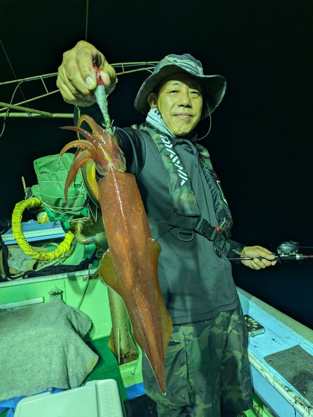 イカ(ヤリイカ)