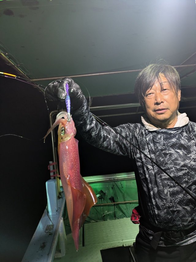 イカ(ヤリイカ)