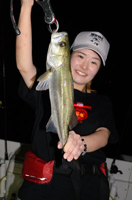 シーバス(スズキ)