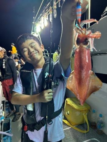 マイカ(ケンサキイカ)