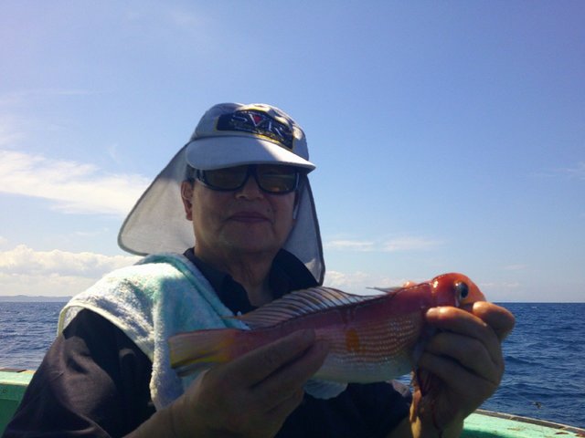 アマダイ(アカアマダイ)