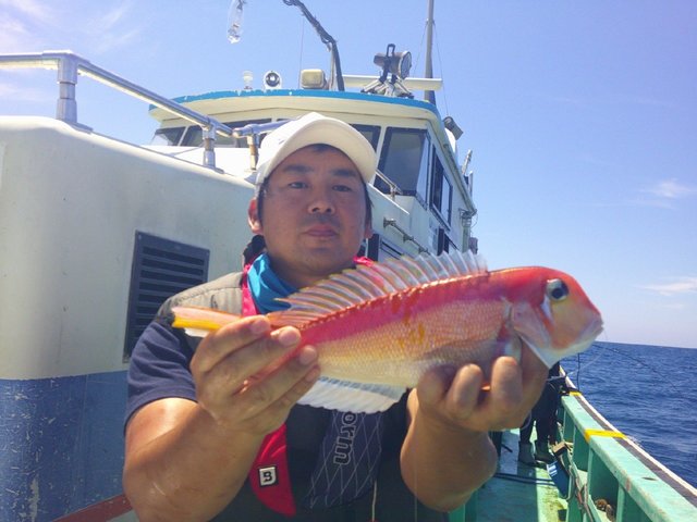 アマダイ(アカアマダイ)