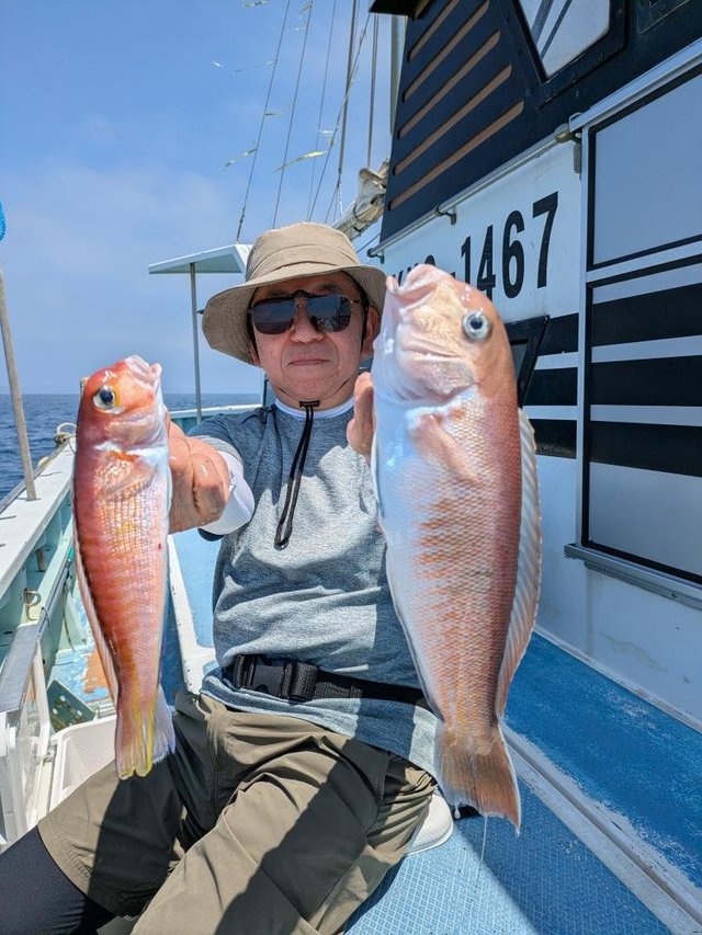 アマダイ(アカアマダイ)