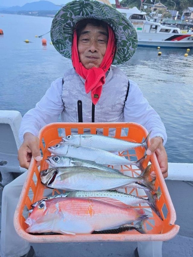 アジ(マアジ)・アマダイ(アカアマダイ)・サバ(ゴマサバ)