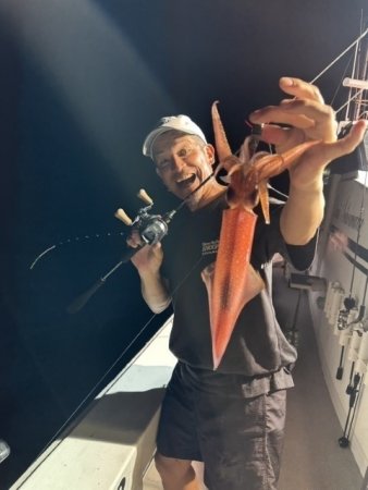 イカ(ヤリイカ)