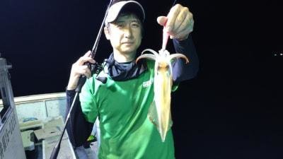 マイカ(ケンサキイカ)