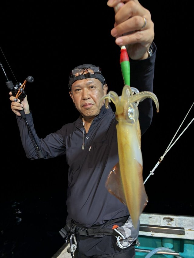 アカイカ(ケンサキイカ)