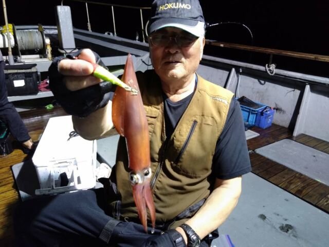 イカ(ヤリイカ)