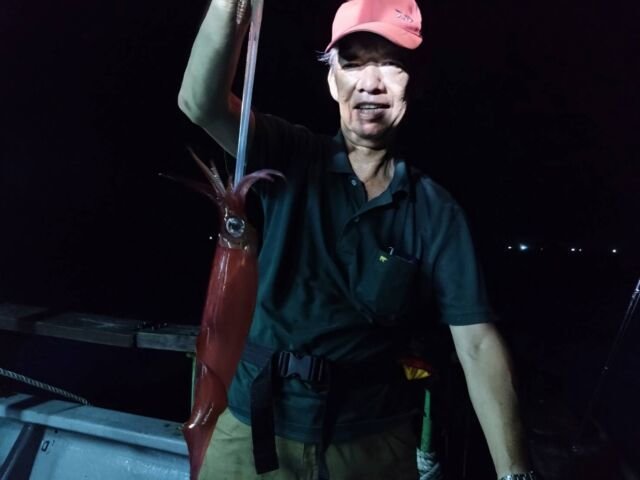 イカ(ヤリイカ)