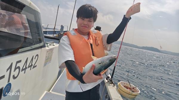 ソーダガツオ(ヒラソウダ)