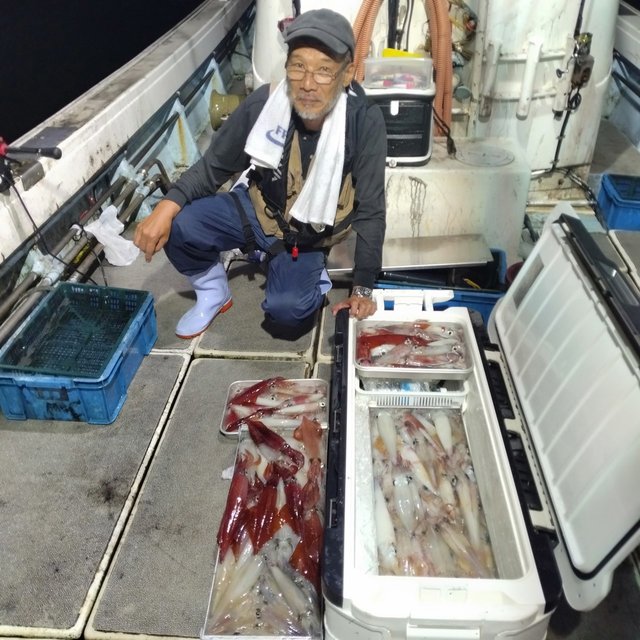 イカ(ヤリイカ)