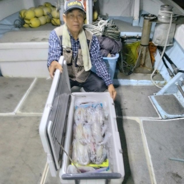 イカ(ヤリイカ)