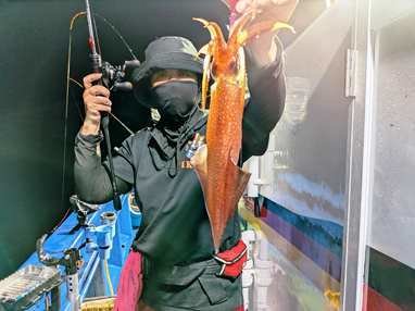 マイカ(ケンサキイカ)