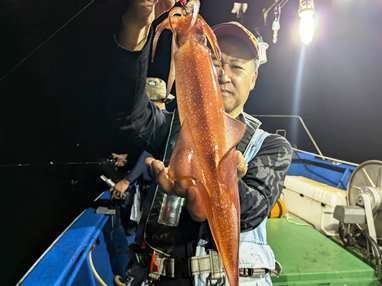 マイカ(ケンサキイカ)