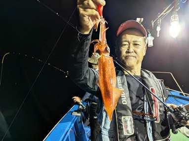 マイカ(ケンサキイカ)