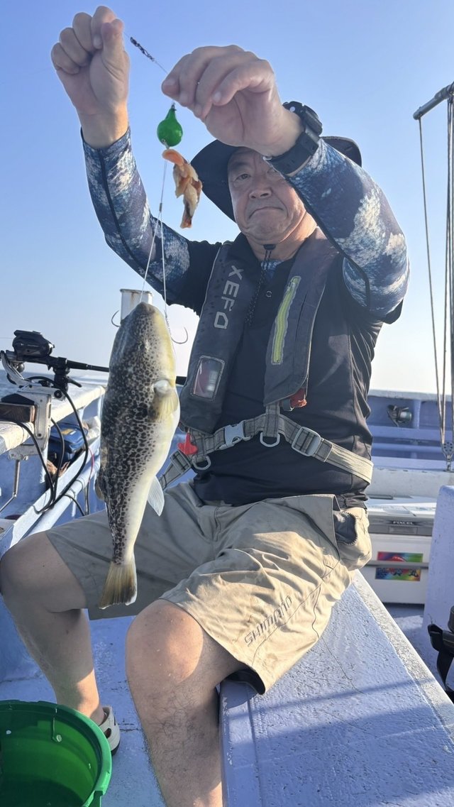 ショウサイフグ