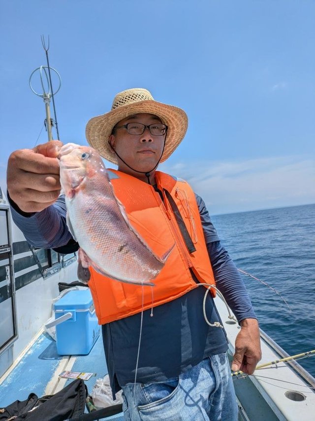 アマダイ(アカアマダイ)