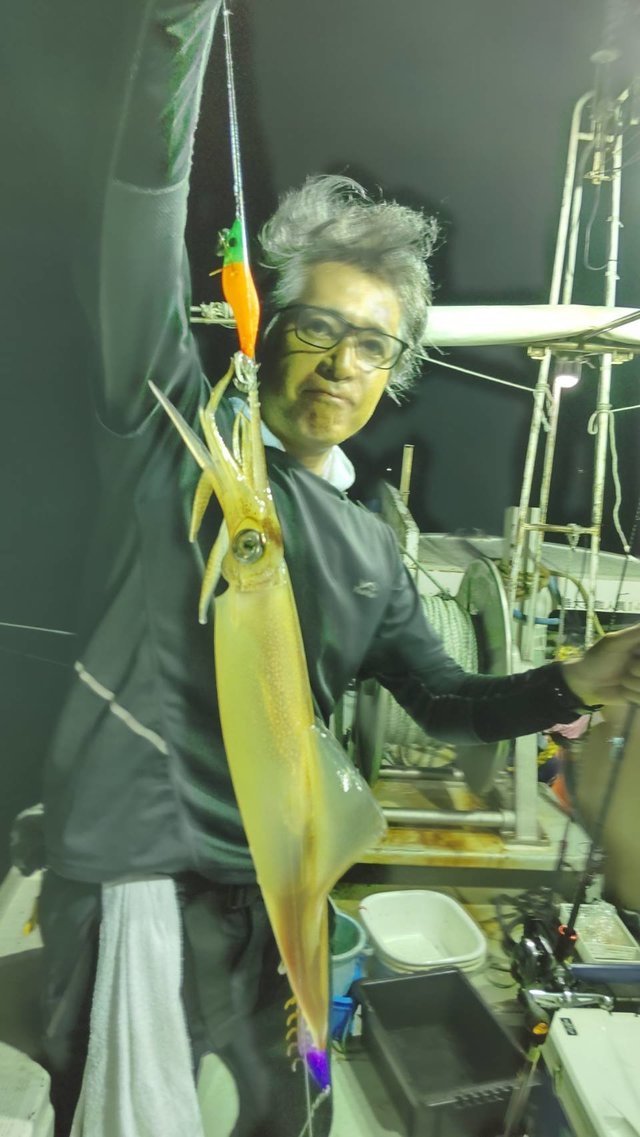 マイカ(ケンサキイカ)