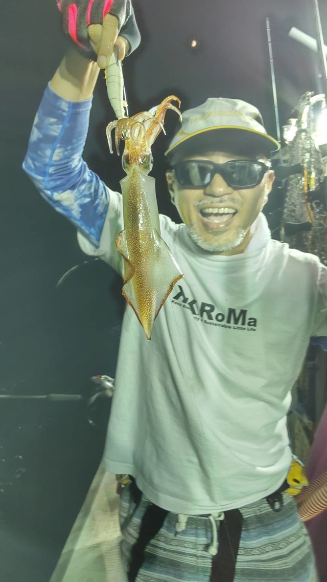 マイカ(ケンサキイカ)