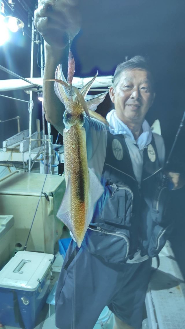 マイカ(ケンサキイカ)