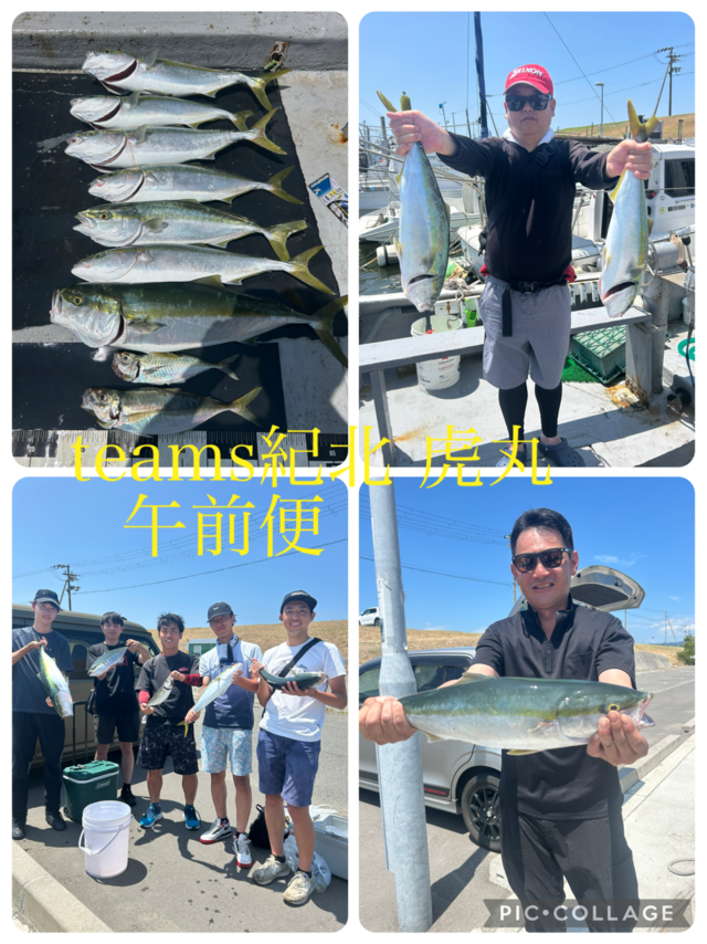 アジ(マアジ)・メジロ(ブリ)