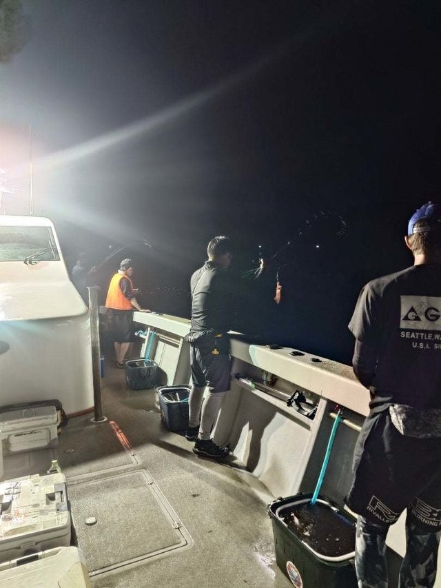 イカ(ケンサキイカ)