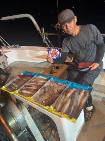 マイカ(ケンサキイカ)